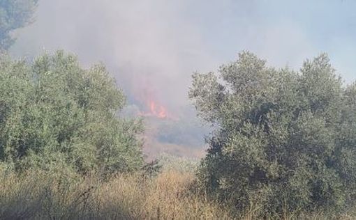 Пожары вспыхнули на открытой местности в Западной Галилее