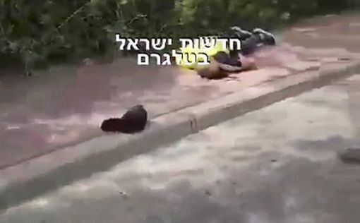 СМИ: В “завещании” террорист сообщил, что не связан с какими-либо группировками