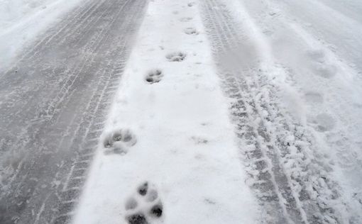 Увлекательный таймлапс: озеро Тахо накрывает снегом