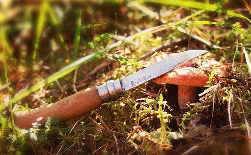 Еврейская женщина пыталась ударить солдат ЦАХАЛа ножом в Самарии