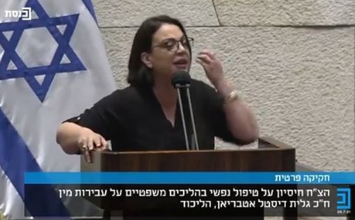 СМИ: министр Дистель-Атбарян выдвинула ультиматум Нетаниягу