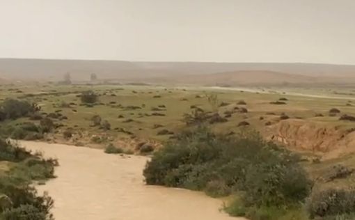 Спасенную на юге несло потоком несколько километров - пока не ударилась о камни