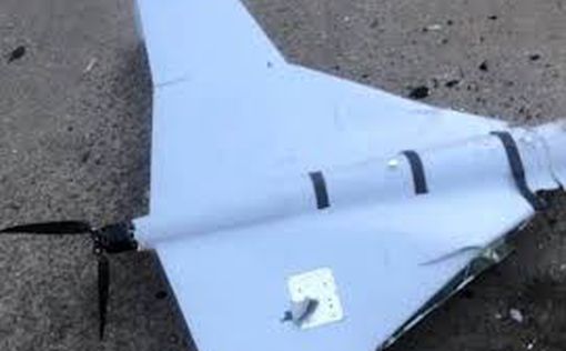 Израиль проигнорировал предлагаемую Киевом помощь в борьбе с дронами, - СМИ