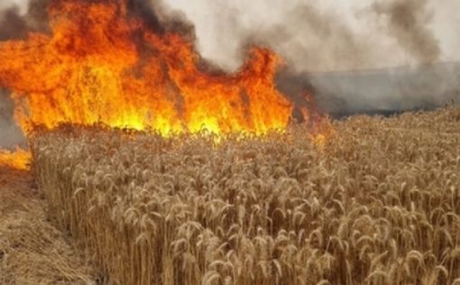 Пожары в районе границы с Газой
