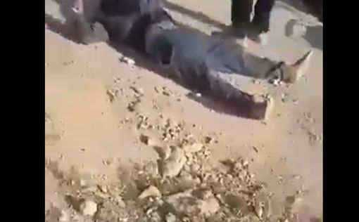 Видео: палестинец ранен в ходе столкновений с ЦАХАЛ