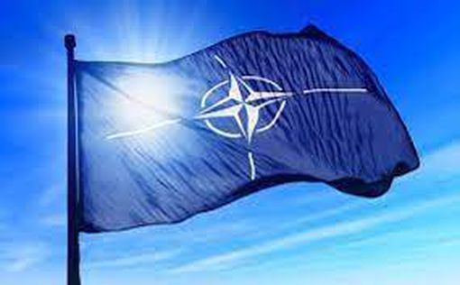 Как НАТО готовится к возможной победе Трампа, - WSJ раскрывает детали