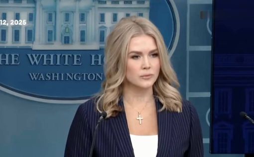 Ливитт: Трампу нужно больше электриков и сантехников, а не выпускников Гарварда