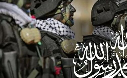 Израильтяне выкупили домен Hamas.com, чтобы рассказать миру правду о 7 октября