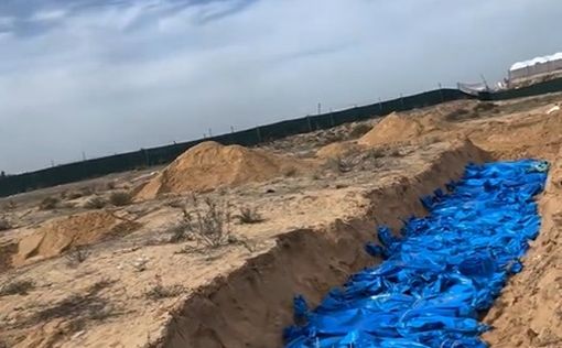 Министерство связи в Газе: 14 532 палестинца погибли с начала войны