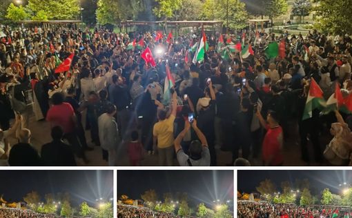 Турция митингует в поддержку Палестины