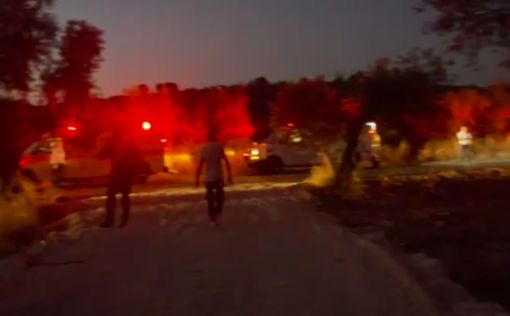 Появилось первое видео с места расстрела в Абу-Санан