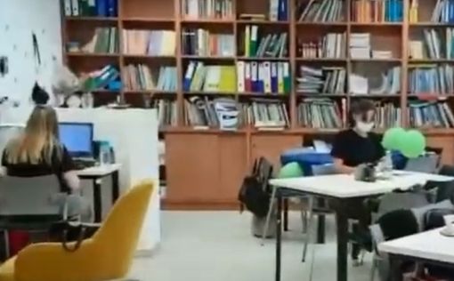 Магазины откроют раньше, чем школы