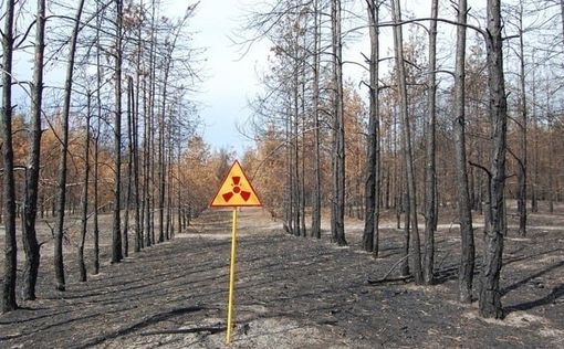 Тайная операция"Снежок-2"? Россия загнала своих солдат в радиоактивный Рыжий лес
