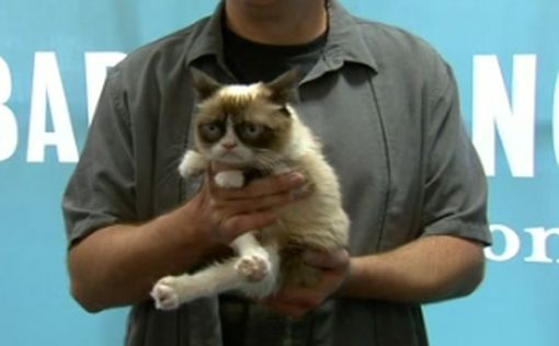 Grumpy Cat умер