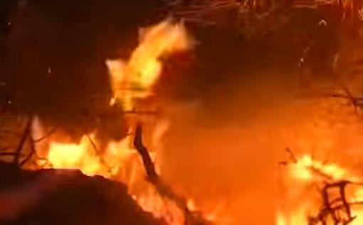 В северном Израиле горят кустарники