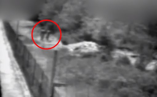 Провокация на границе с Ливаном: видео и подробности от ЦАХАЛа