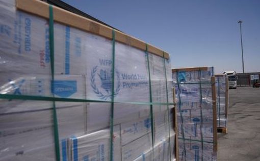 В Газу заехало 95 грузовиков с гуманитарной помощью