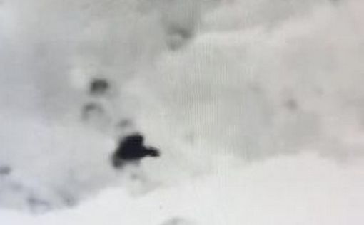 Опубликованы новые подробности теракта в селении Брухин