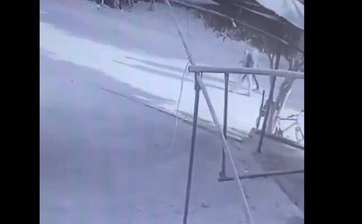 Палестинские СМИ сообщают о 13 погибших в Газе