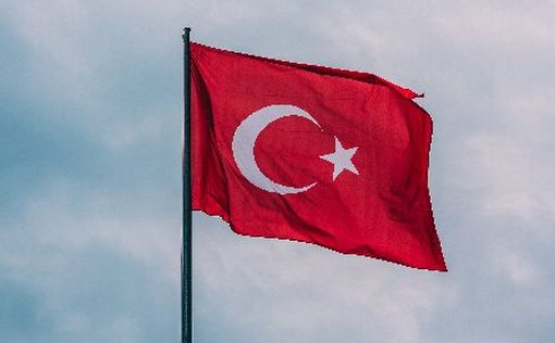 Турция направила в Сирию 2 самолета и 11 грузовиков для борьбы с пожарами