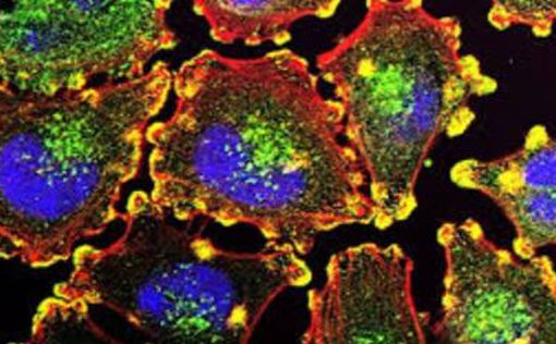 Найден ген раковых клеток
