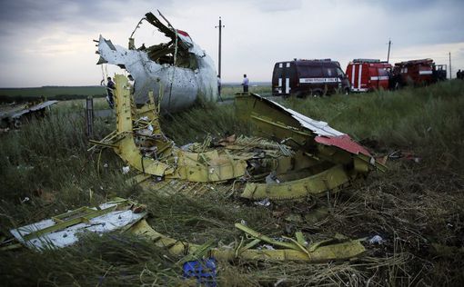 СМИ: На борту разбившегося Boeing-777 было 80 детей