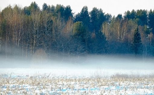 Из-за холодов у мужского достоинства возникают зимние проблемы