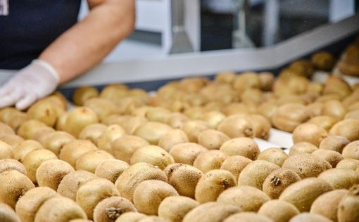 European Apples and Kiwis Stand Out in Israel for Safety and Freshness