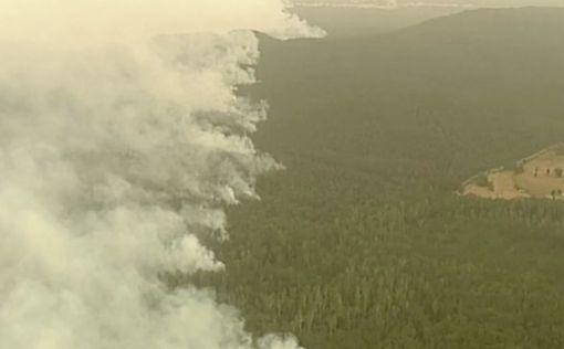 Австралийцы спасаются на пляжах из-за убийственных пожаров