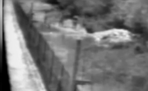 Деревня в обмен на палатку Хизбаллы: новое "достижение" Израиля