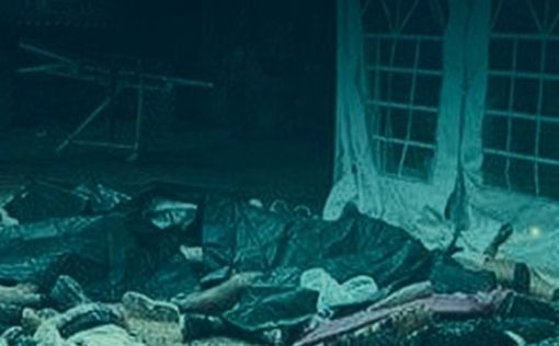 ЗАКА: Мы собрали 260 тел из района фестиваля в Реим