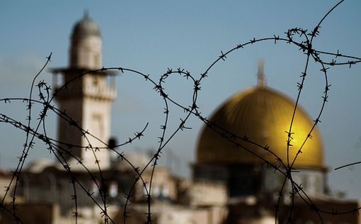 BDS причиняет вред палестинцам, а также евреям диаспоры, - мнение