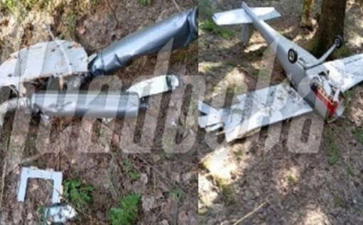 Куда летел беспилотник с взрывчаткой, упавший в Подмосковье