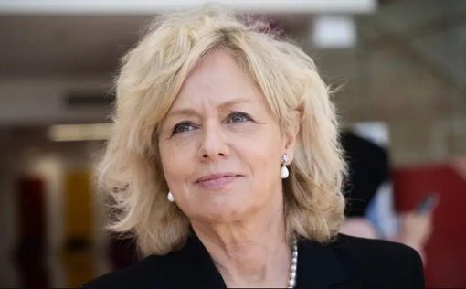 Юридический советник одобрила требование Левина о собственном адвокате