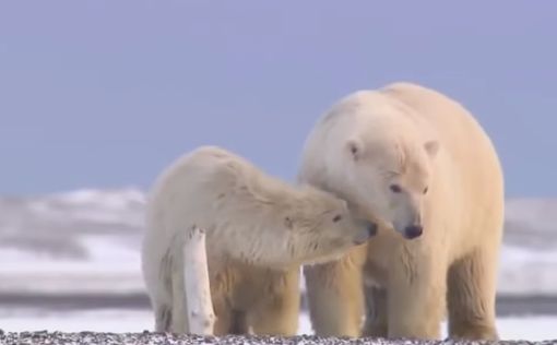 Ученые предупреждают о серьезных изменениях в климате