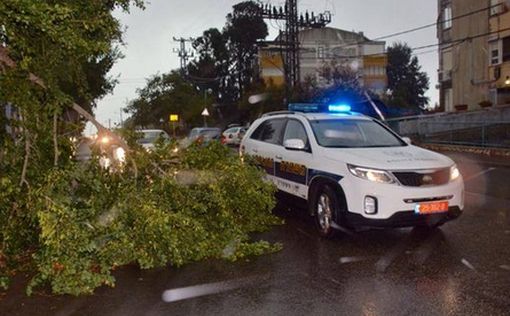 "Мы превратились в заложников Электрической Компании"