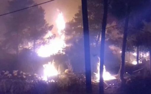 Поджигатель: я - жертва муниципалитета, хотел сжечь мусор