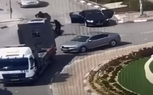 Все больше и больше молодых арабов покидает Израиль