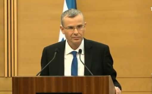Ярив Левин представил основные принципы правовой реформы