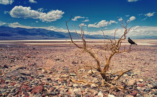 В Долине Смерти настоящее пекло - +53,33°C