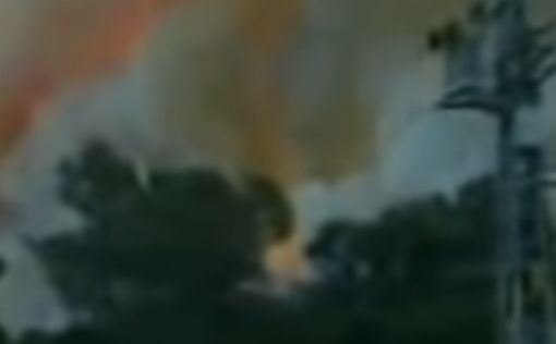 Сотни пожаров в Израиле - результат поджогов