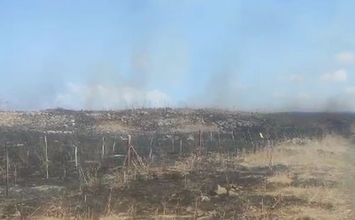 На Голанах вспыхнул пожар после обстрела из Ливана