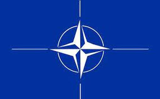 США и НАТО: мы не видим отвода войск РФ от границ Украины
