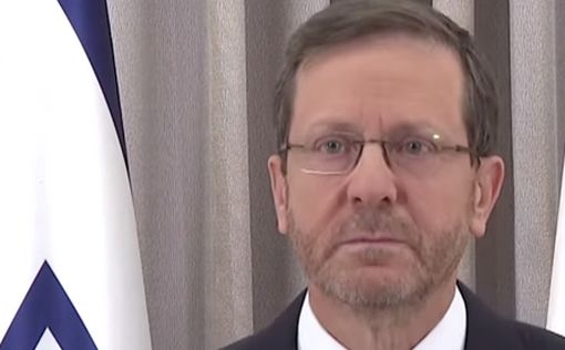 "Уточненный компромисс" президента Герцога