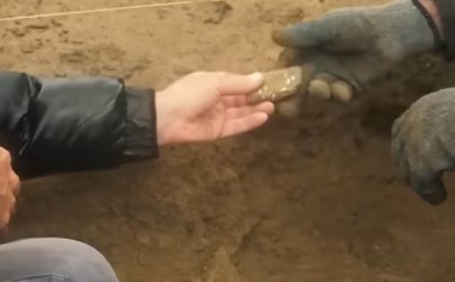 Турция передала Ираку шесть древних глиняных табличек