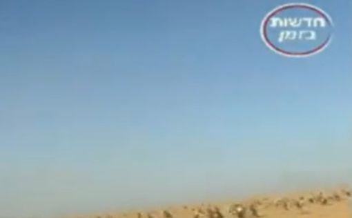 Фестиваль в Негеве закончился массовым бегством израильтян: видео