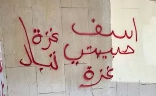 В Хайфе арестовали пару “художников” за нанесение нацистских граффити