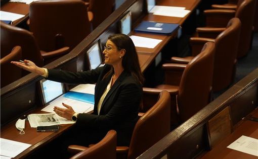 Мейрав Михаэли хотят сместить с поста лидера "Аводы"