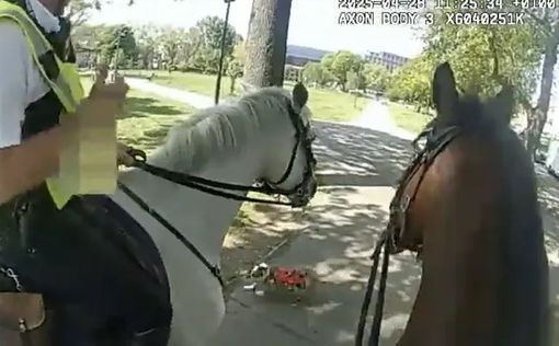 Полицейский патруль на лошадях подвергся нападению собаки
