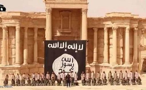 Жительница Израиля бросила семью и присоединилась к ISIS